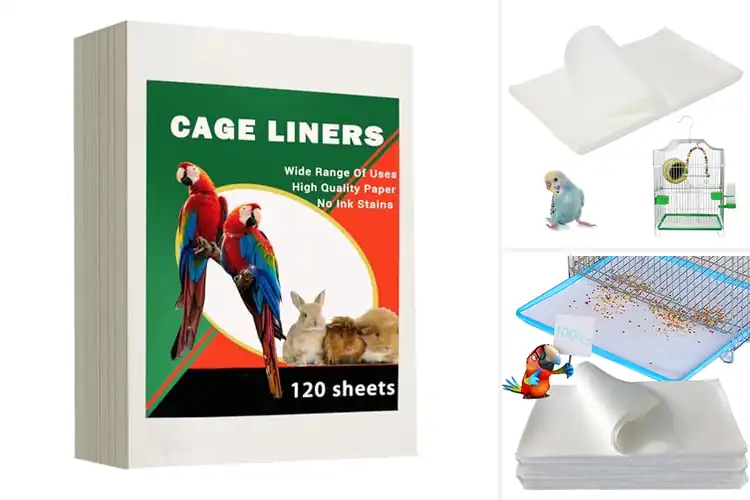 Detailed view of Best Bird Cage Cushion Papers