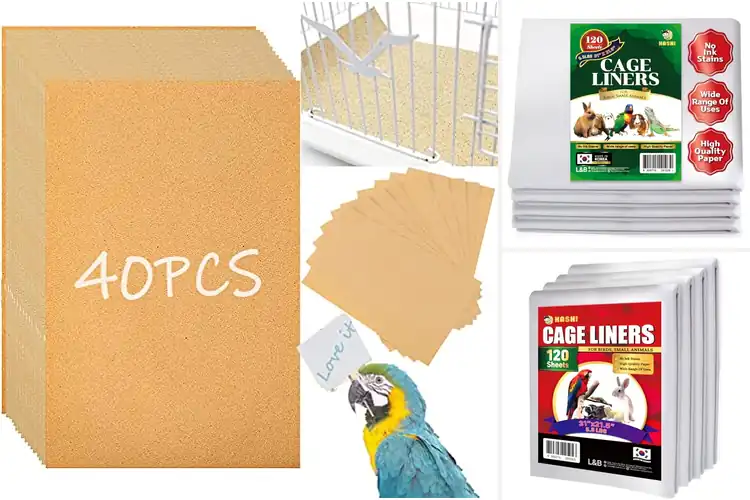 Detailed view of Best Bird Cage Papers