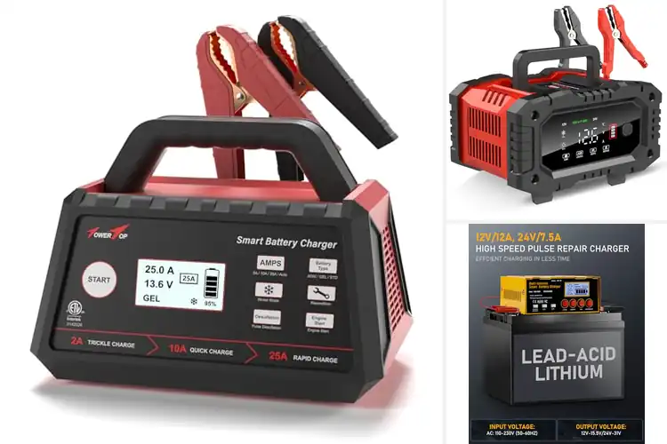 Detailed view of Best Deep-Cycle Battery Chargers