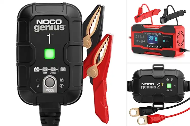 Detailed view of Best Deep Discharge Battery Recovery Charger