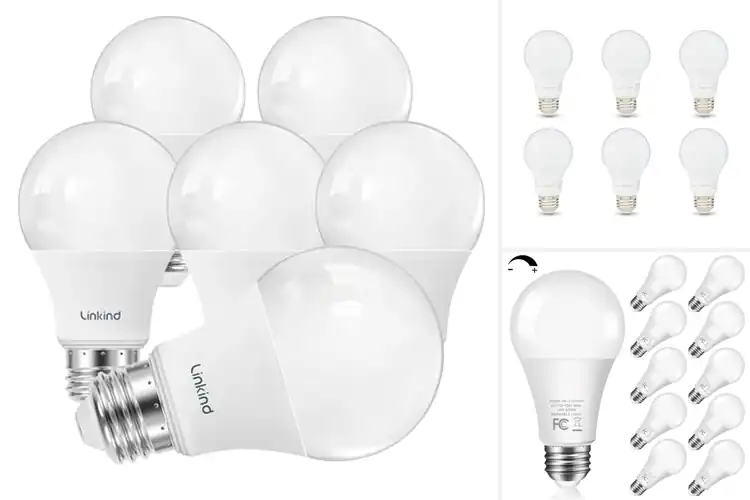 Detailed view of Best Dimmable LED Bulbs