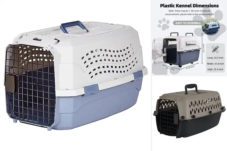 Detailed view of Best Dog Cargo Carriers: Top Picks for Safe & Comfy Travel