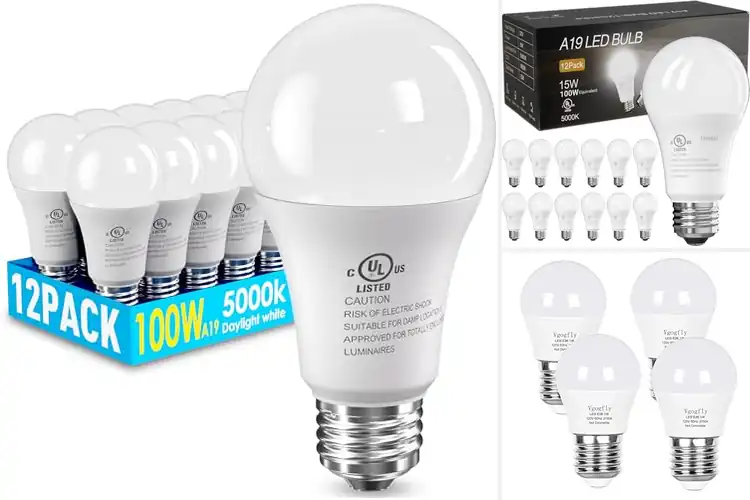 Detailed view of Best Energy-Saving LED Lamps