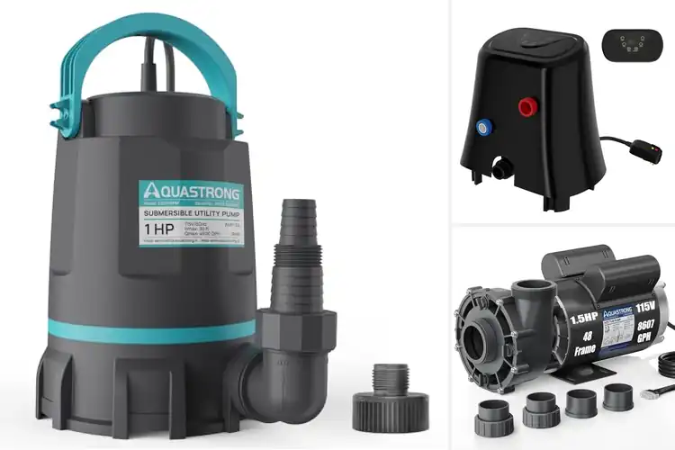 Detailed view of Best Hot Tub Backup Pumps
