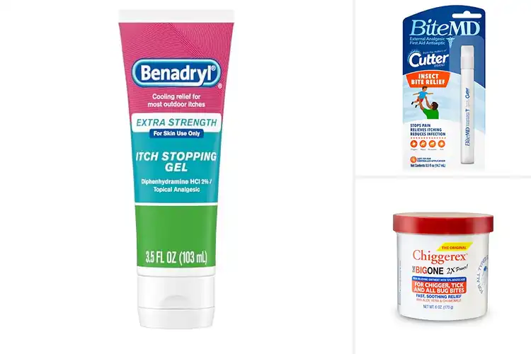 Detailed view of Best Insect Bite Treatments: 10 Quick Relief Solutions