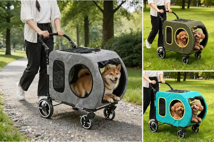 Detailed view of Best Jogger Wagons