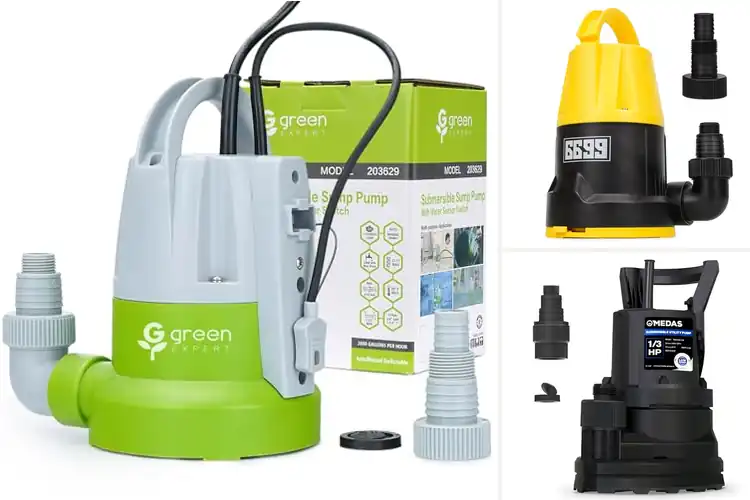Detailed view of Best Last Inch Drain Pumps