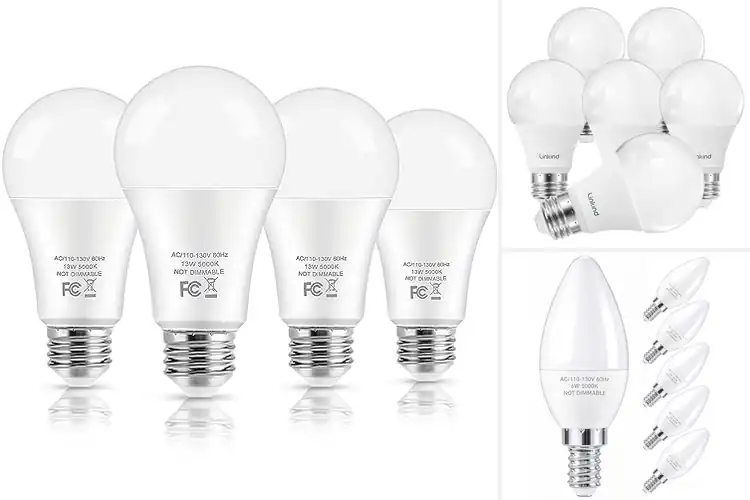 Detailed view of Best LED Bulb Lamps for Every Room