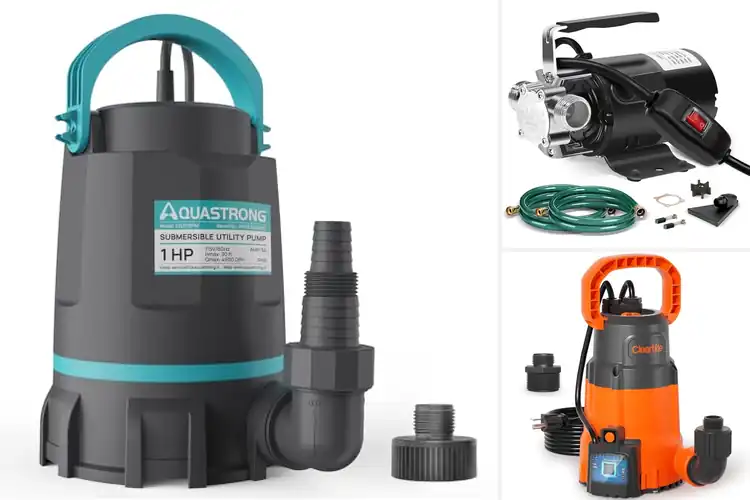 Detailed view of Best Lightweight Utility Pumps: Top Picks for Easy Use