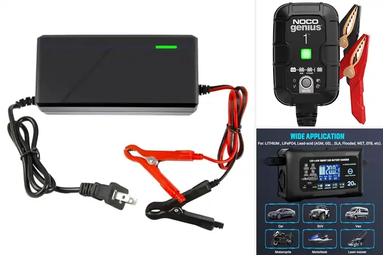 Detailed view of Best Lithium Battery Chargers