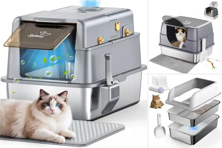 Detailed view of Best Litter Box Lid Systems