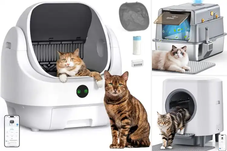 Detailed view of Best Litter Box Odor Controls: 10 Fresh Home Secrets