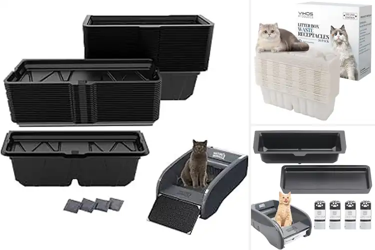 Detailed view of Best Litter Box Waste Receptacles