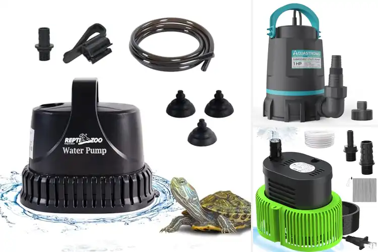 Detailed view of Best Low Water Drain Pumps