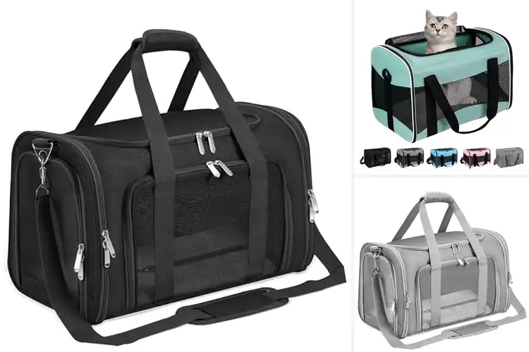 Detailed view of Best Pet Travel Carriers: Top 10 for Safety & Comfort