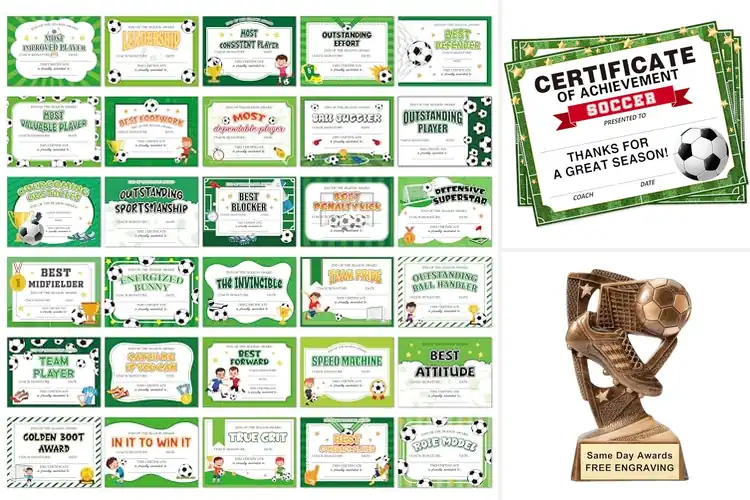 Detailed view of Best School Soccer Recognition