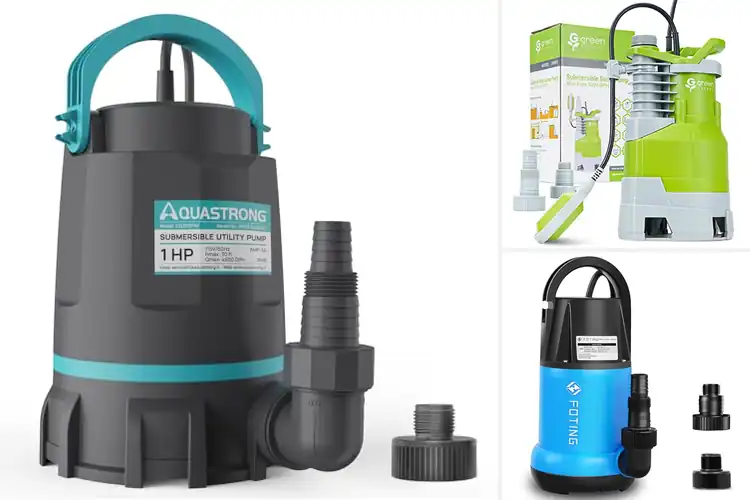 Detailed view of Best Submersible Sump Pumps