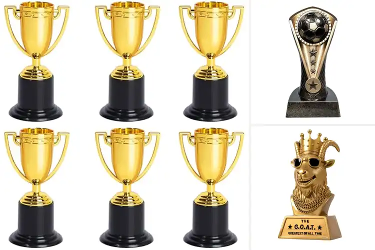 Detailed view of Best Team Trophies: Top 10 Picks to Celebrate Every Win
