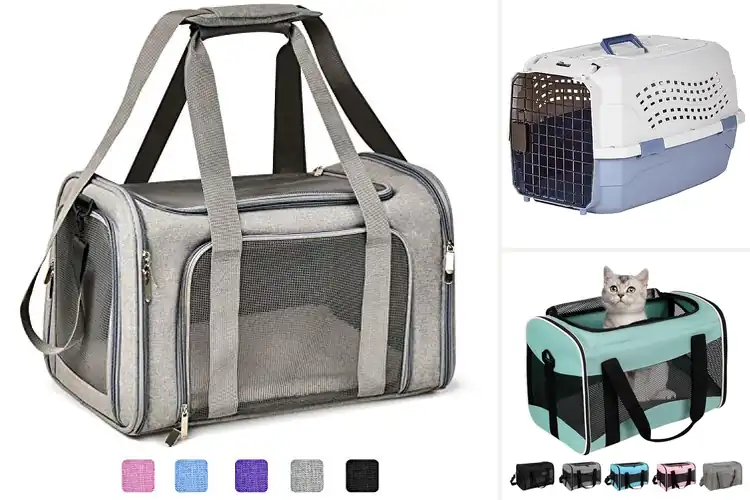 Detailed view of Best Travel Pet Carriers